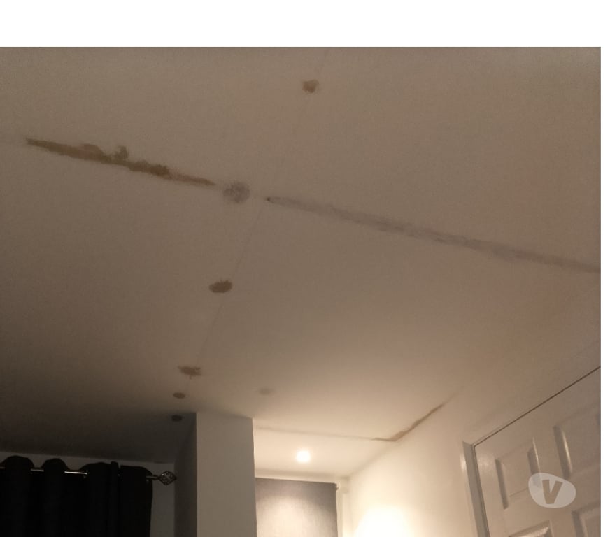 Find a tradesman Bedfordshire Central Bedfordshire - Photos for Home wall and ceiling plaster