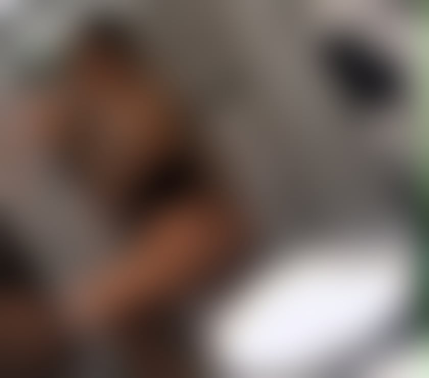 Escorts Leicester City Centre Leicester - Photos for ❤️ELY❤️ PARTY GIRL ❤️ NO RUSH 💯GENUINE