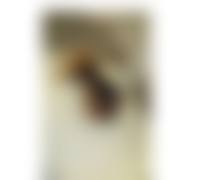 Escorts West Midlands Coventry - Photos for Elisa NEW BEST SERVICE ❤️PARTY BRUNETTE❤️