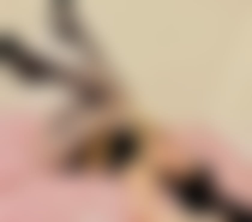 Escort Ardsley Barnsley - Photos for Hello best skynny party Fernanda 😍