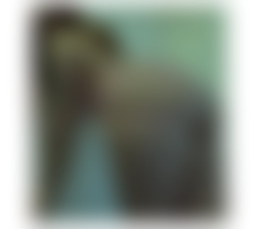  Escorts Walton Liverpool - Photos for Miia🇧🇷lovely🫦party girl🥳