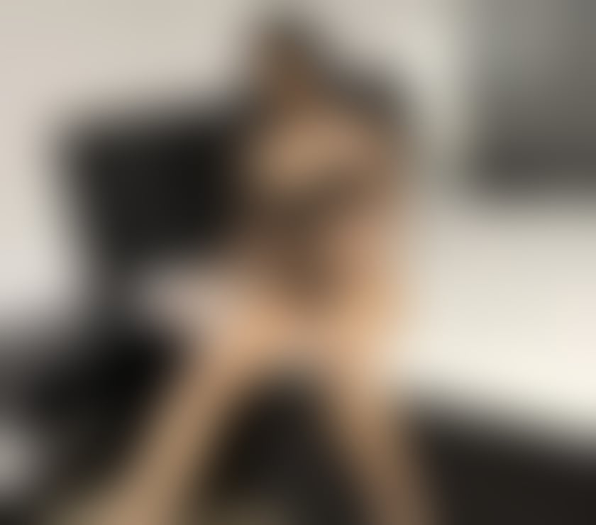 Escort West End, Stockbridge and Fountainbridge Edinburgh - Photos for ❤️Sweet and sexy girl ❤️Best service 💯