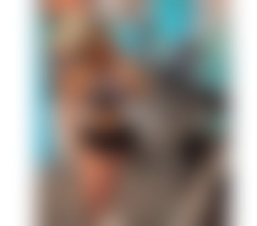 NEW 🇧🇷 LATINA THE BEST PARTY 🎉 incall outcall