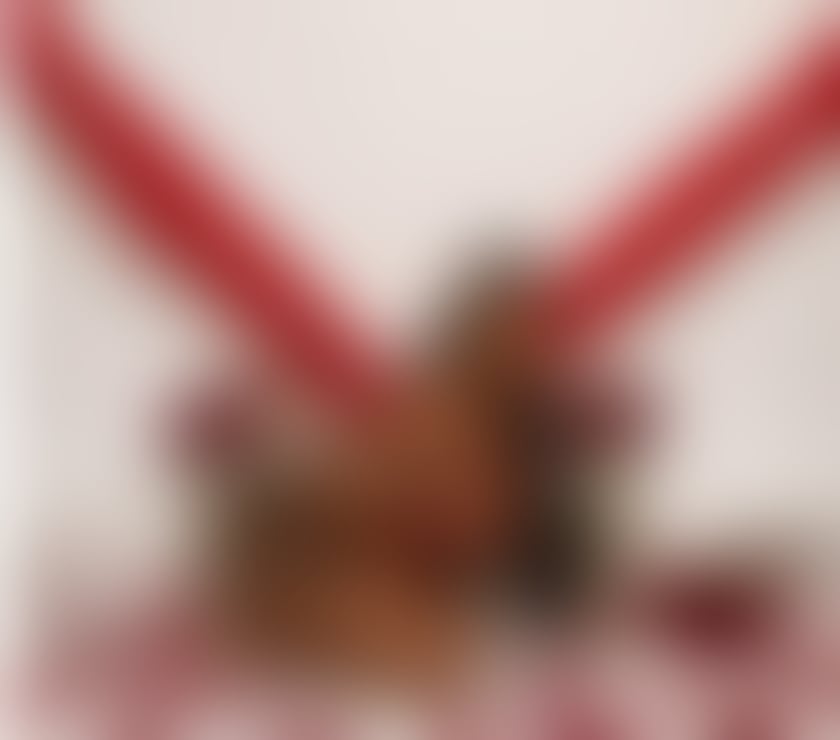 Escort Braunstone Leicester - Photos for EBONY WITH A BIG ASS ✨🍑