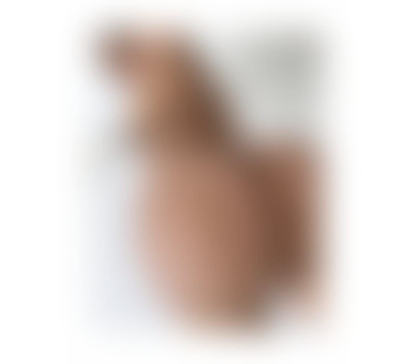  Escorts Doncaster City Centre Doncaster - Photos for SEXY LATINA IN YOUR TOWN