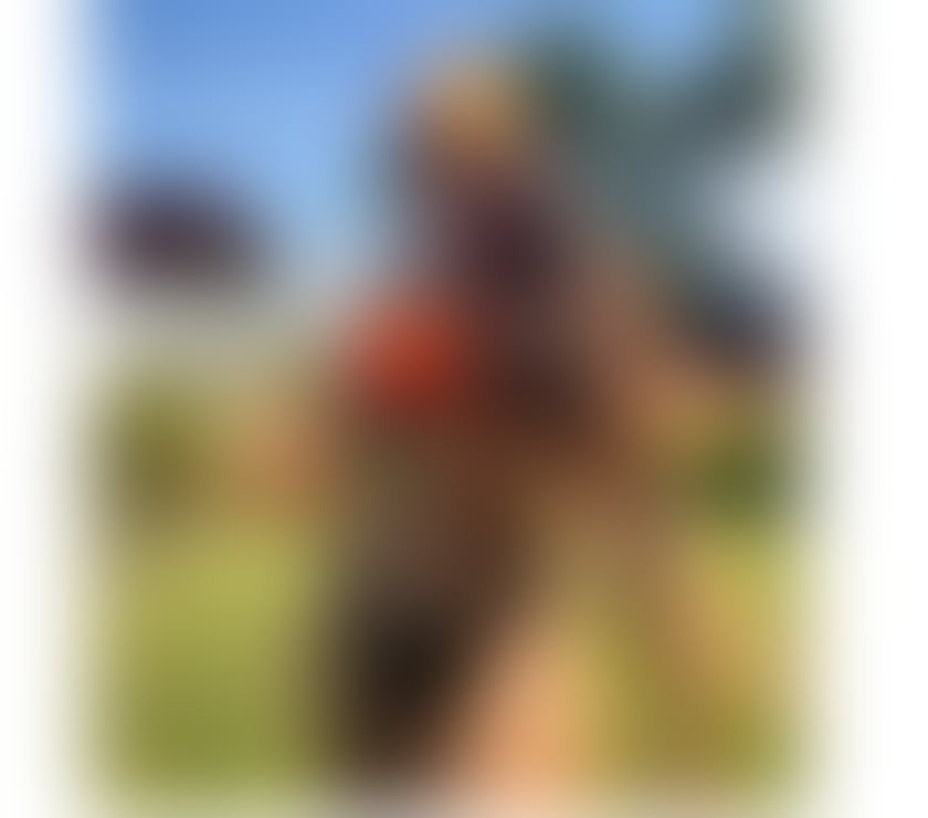 Photos for Beautiful and delicious 🥰🔥 Unparalleled work 🥵🥳