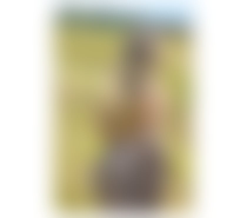 Escort Bellingham South East London - Photos for 🌸🌸🌸🌸HONEY LATINA 🌸🌸🌸🌸