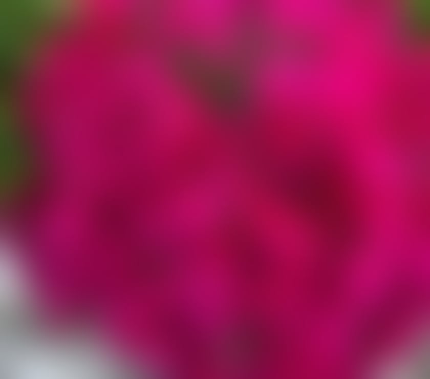  Escorts & Erotic Massage Norwich City Centre Norwich - Photos for SOFIA HOLISTIC MASSAGE
