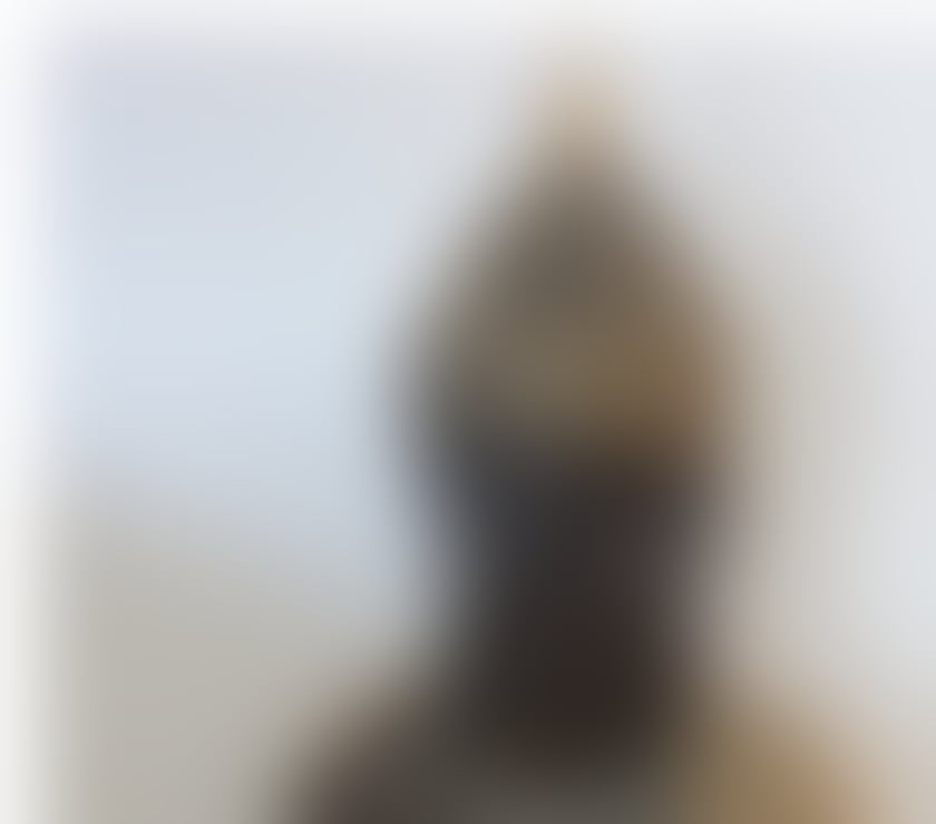 Escorts Norfolk Norwich - Photos for SOFIA HOLISTIC MASSAGE