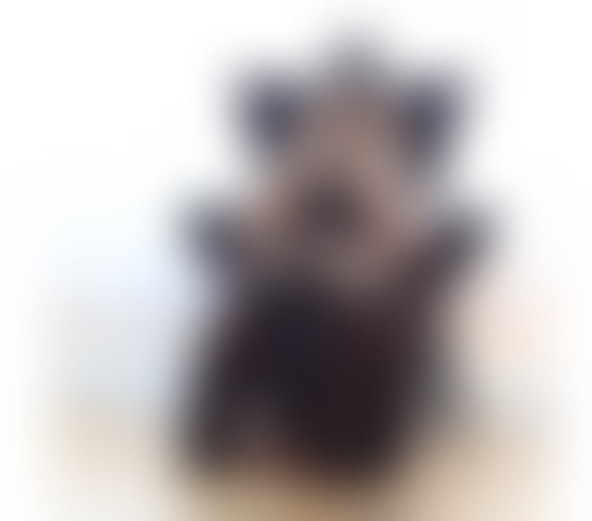 Escorts South East London Bellingham - South East London - Photos for PATRICIA SEXY💚💚 LADY💚 BRAZILIAN ONLY 💚💚