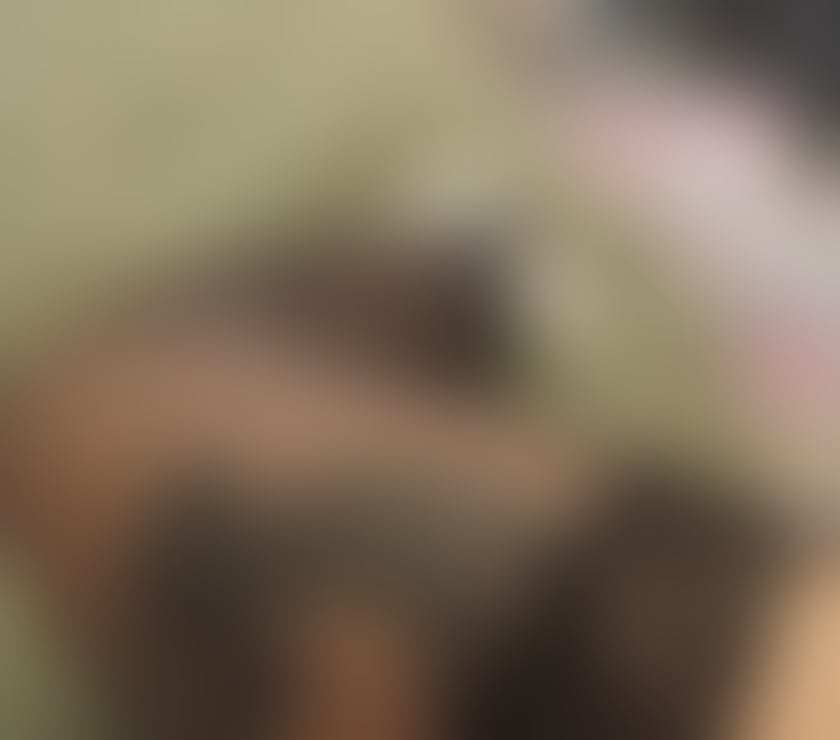 Escorts Leicestershire Leicester - Photos for Sexy Alice get me boys im based in leicester near town c