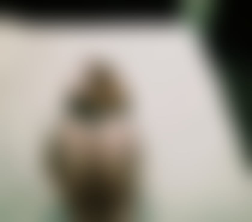 Escorts Bedfordshire Luton - Photos for Alexandra ❤️NEW TOWN❤️100&100!❤️ REAL
