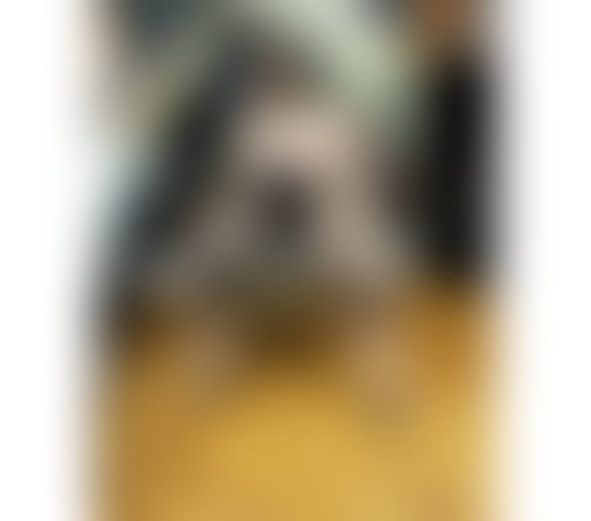 Escorts West London Hillingdon - Photos for New In Town Larisa Party!🔞