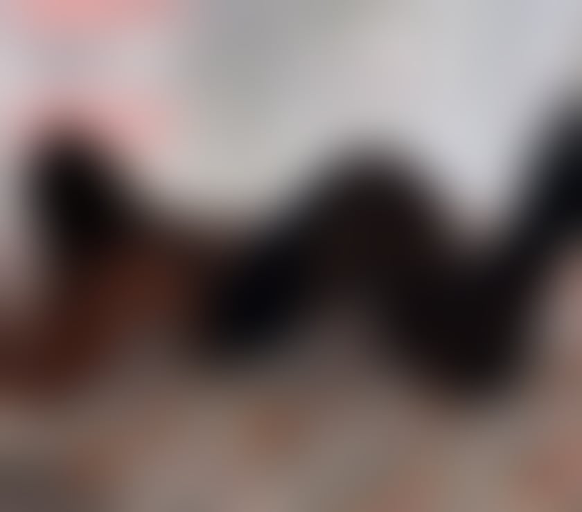 Escorts Old Park Telford and Wrekin - Photos for 🔥Mellysa😍naughty hot girl🍒🔥🫦