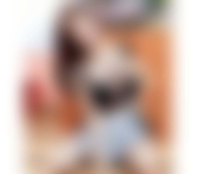  Escorts Cheltenham Town Centre Cheltenham - Photos for Thai Rita Beauty Sweet New No Rush real💯 🇹🇭 In