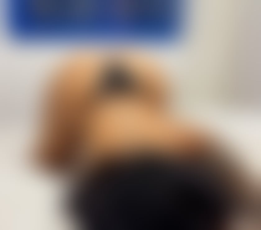 Escort Huntingdon Huntingdonshire - Photos for 🍓💕⭐️ARYANA⭐️💕🍓NO RUSH 💕JUST OUTCALL