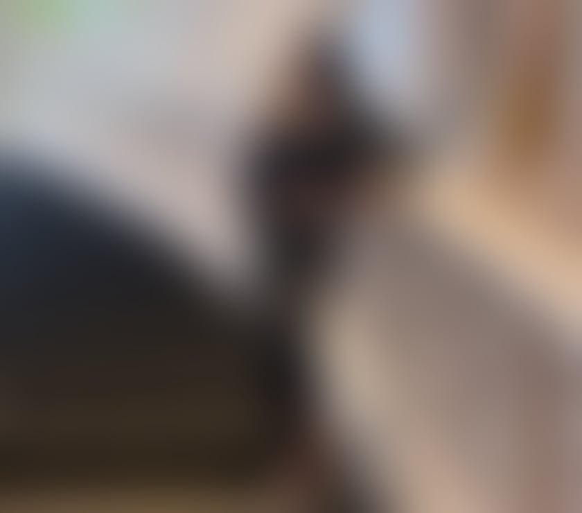 Escorts West Midlands Birmingham - Photos for YARA GFE❤️‍🔥 Paty🥂