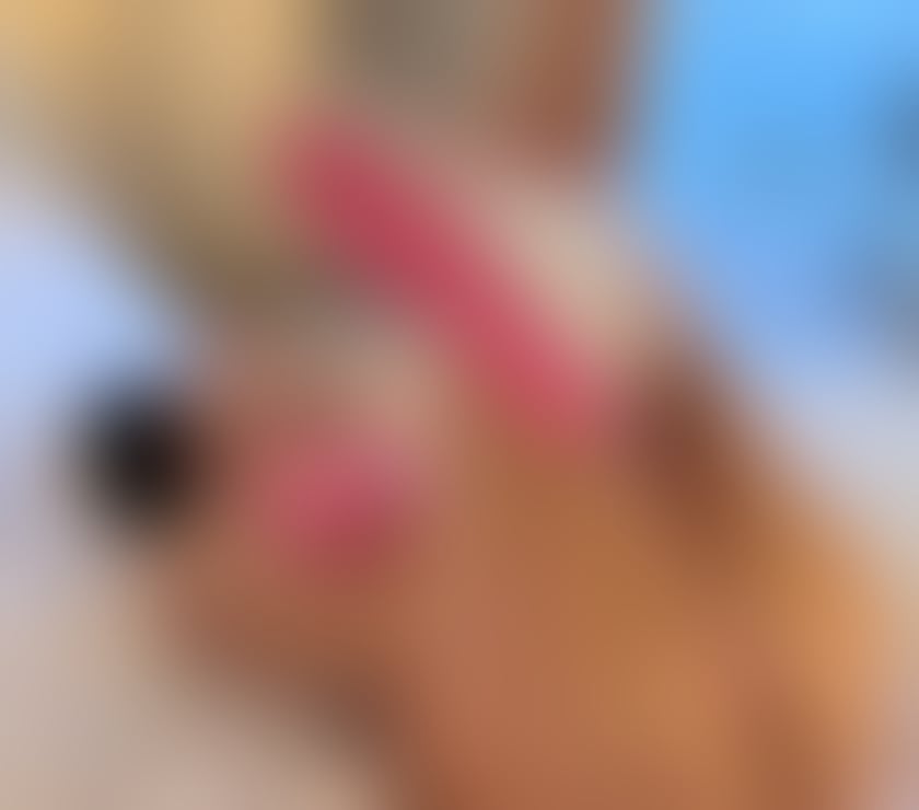 Escorts Buckinghamshire High Wycombe - Buckinghamshire - Photos for Bella New in the area,slim Spanish girl,InCall&OutCall☎️