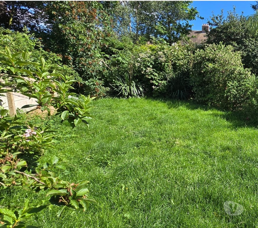 Find a tradesman Nottinghamshire Nottingham - Photos for Weekend Gardening