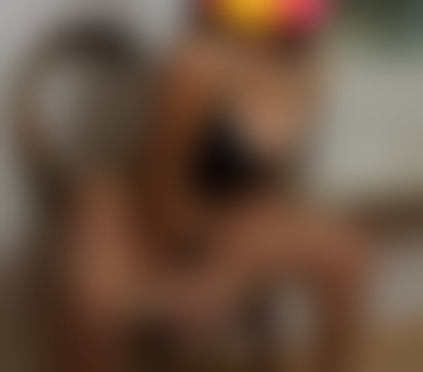  Escorts Pylle Hill Bristol - Photos for Outcall party girl best GFE ❤️❤️❤️