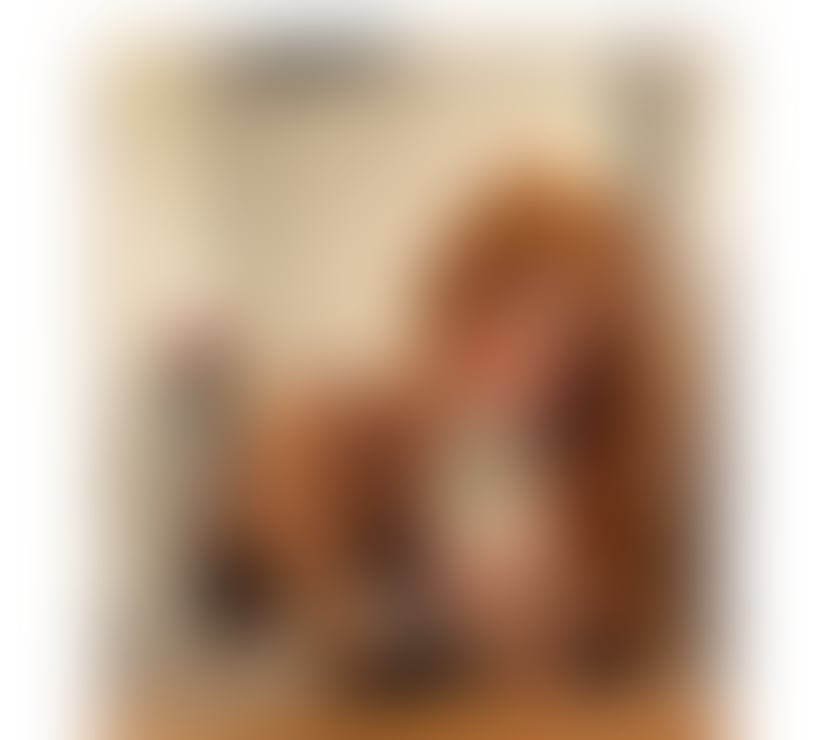 Trans Escorts Worcestershire Worcester - Photos for 🇧🇷 ISA BRAZILIAN ✨ VERY HOT 🫦🔥