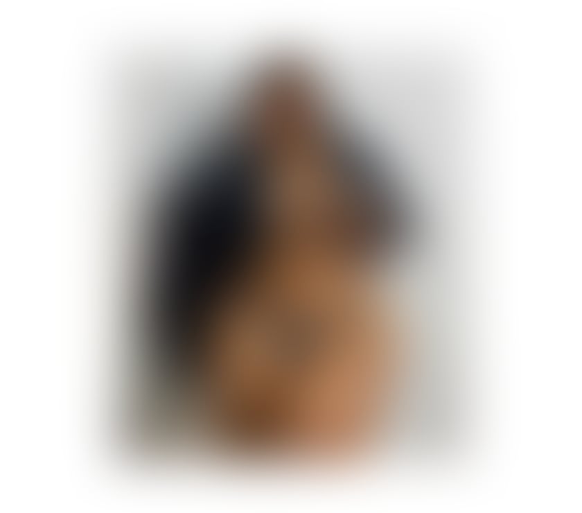 Escorts Norwich City Centre Norwich - Photos for BELLA LATINA IN YOUR TOWN