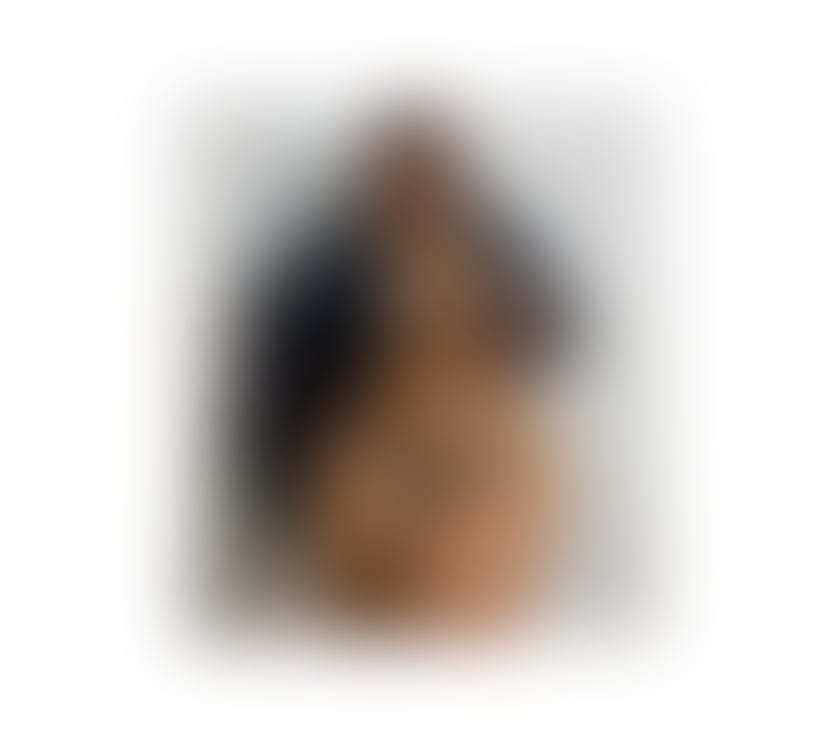 Escorts Norwich City Centre Norwich - Photos for BELLA LATINA IN YOUR TOWN