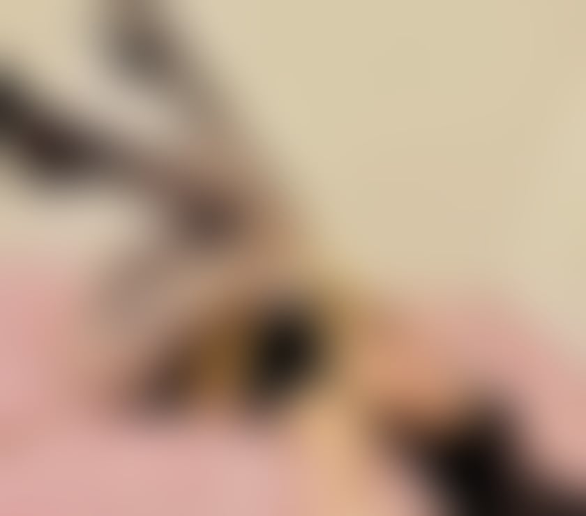 Escort Cudworth Barnsley - Photos for Best party girls Giulia
