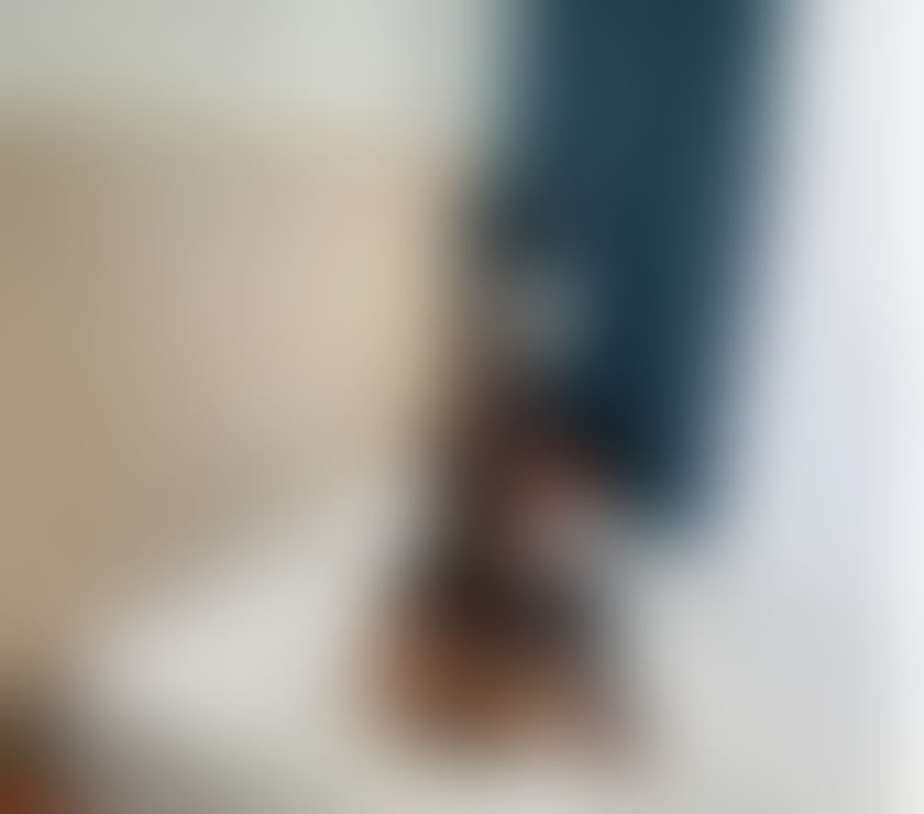 Escorts Beeston Leeds - Photos for Best girl in your town🍓 best time x