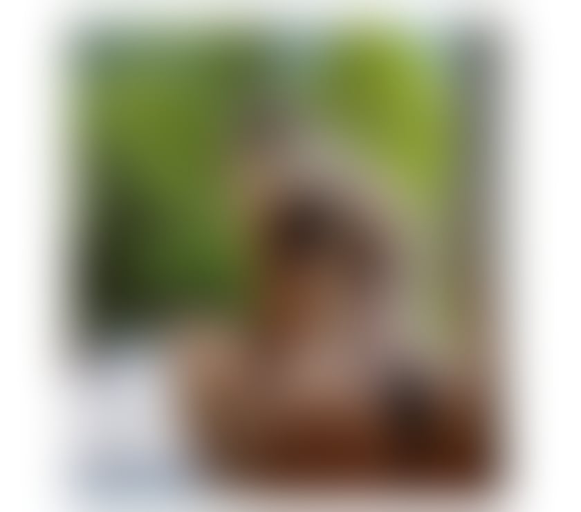 Escorts East Sussex Eastbourne - Photos for BELLA ❤️ sassy and hot girl