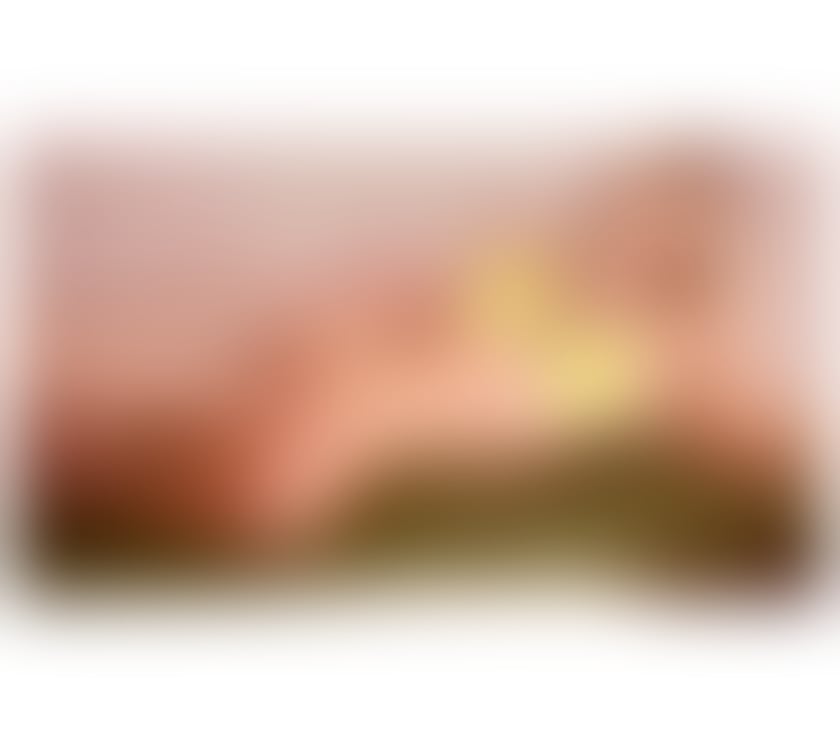 Escorts Worcestershire Worcester - Photos for ✨JADE BRAZILIAN 🇧🇷🔥TRANS 🏳️‍⚧️🍆
