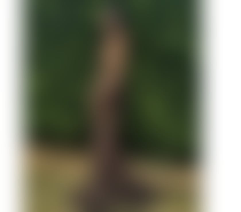 Escorts Suffolk Ipswich - Photos for Hello. babes!! I am Amanda Thailand 🔥🔥