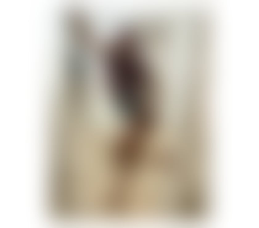 Escorts Surrey Epsom and Ewell - Photos for Kelly chocolate ebony Girl in Stratford