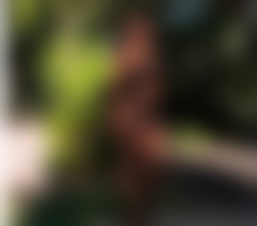 Escorts North Yorkshire Middlesbrough - Photos for SOFIE BRAZILIAN