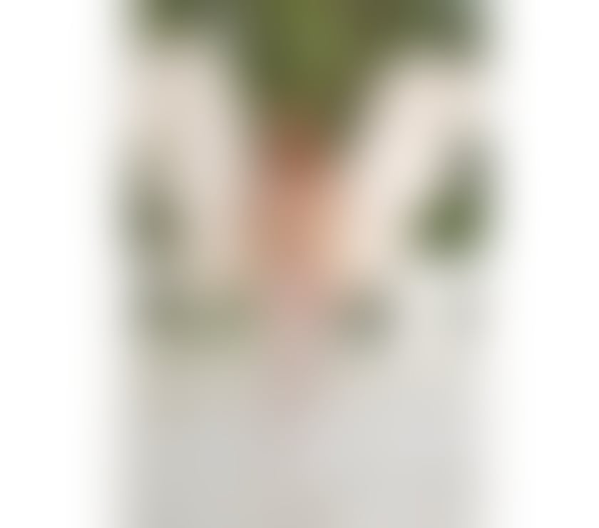 Trans Escorts South West London Sutton - Photos for Gaby, a hot Brazilian body, party girl and very experienced