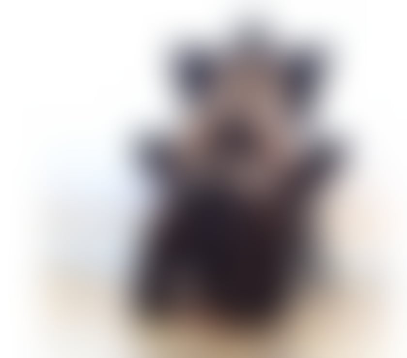 Escorts West London Hillingdon - Photos for PATRICIA SEXY💚💚 LADY💚 BRAZILIAN ONLY 💚💚