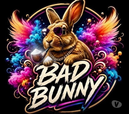 Escorts Exeter City Centre Exeter - Photos for AngelBadBunnyExeter🐰💋