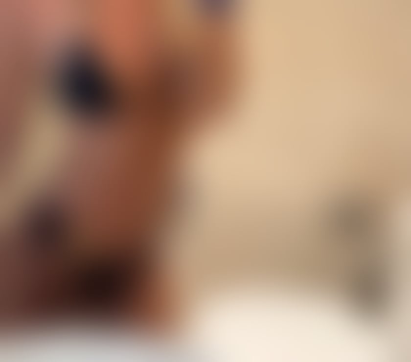 Escorts Birmingham City Centre Birmingham - Photos for Bambi🤍BRITISH🤍best service x