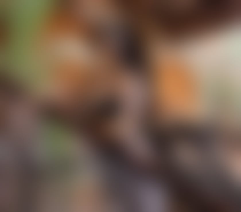 Escorts West London Hounslow - Photos for SELENA NOT FAKE! 🥳💯
