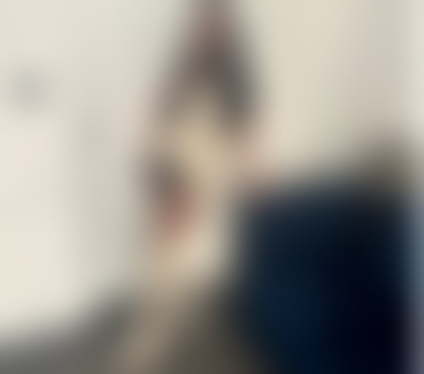 Escorts Cumberland Carlisle - Cumberland - Photos for New girl Natasha 😘