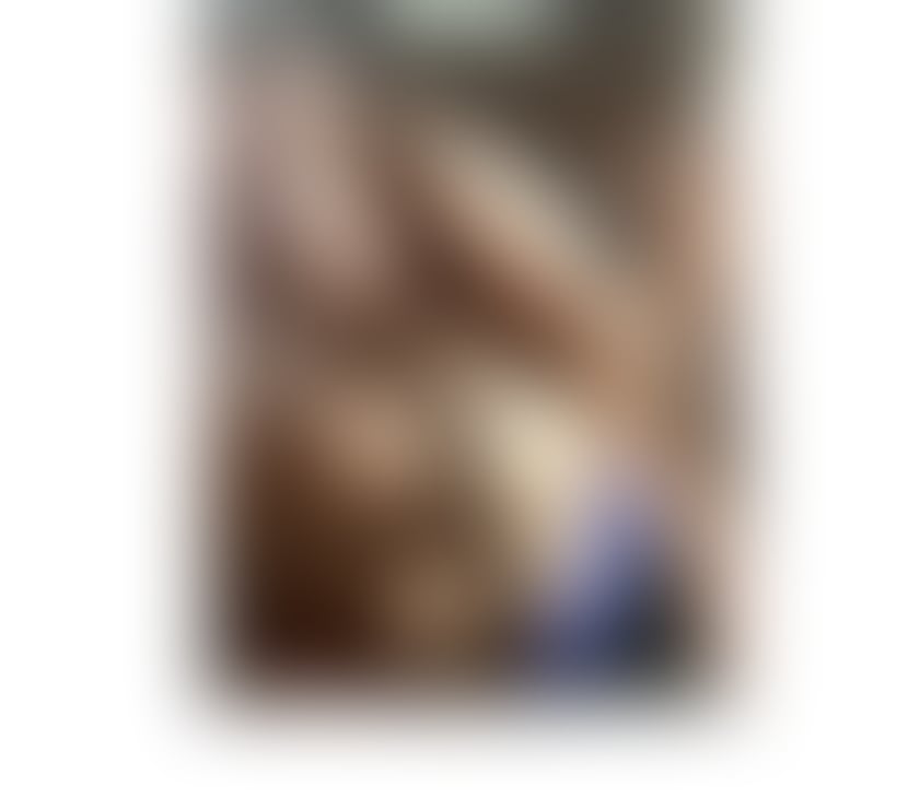  Gay massage South Yorkshire Sheffield - Photos for GAY MALE ESCORT AVAILABLE NOW IN SHEFFIELD