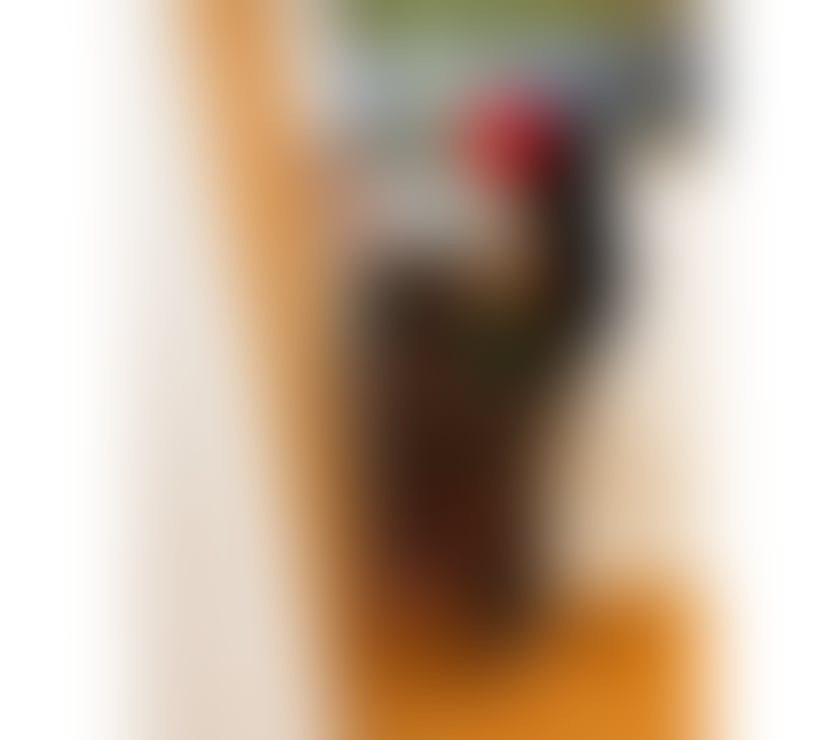 Escorts Leicestershire Leicester - Photos for Indian girl new arrival Leicester