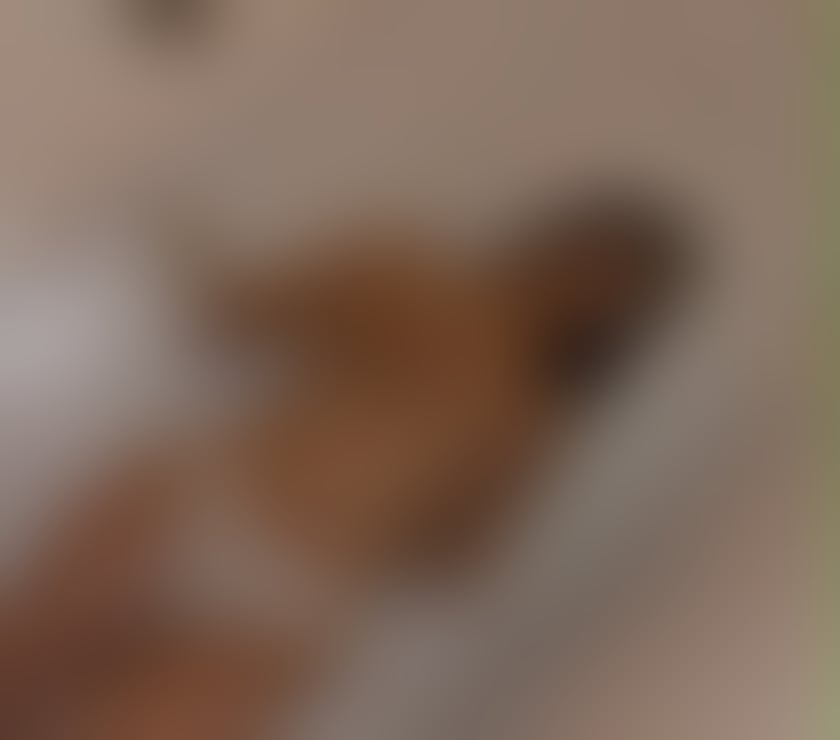 Escorts County Durham Darlington - Photos for NEW GIRL IN TOWN 🎉BEST SERVICE 🔥💋