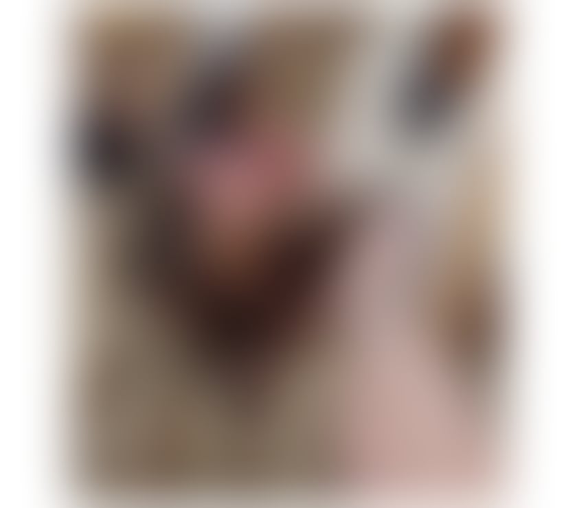 Escorts North London Edmonton - North London - Photos for ♥️Selena New in Town 🔥