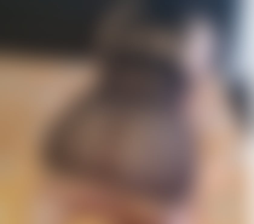 Escorts Essex Basildon - Photos for Hi new girl on the town Lucy