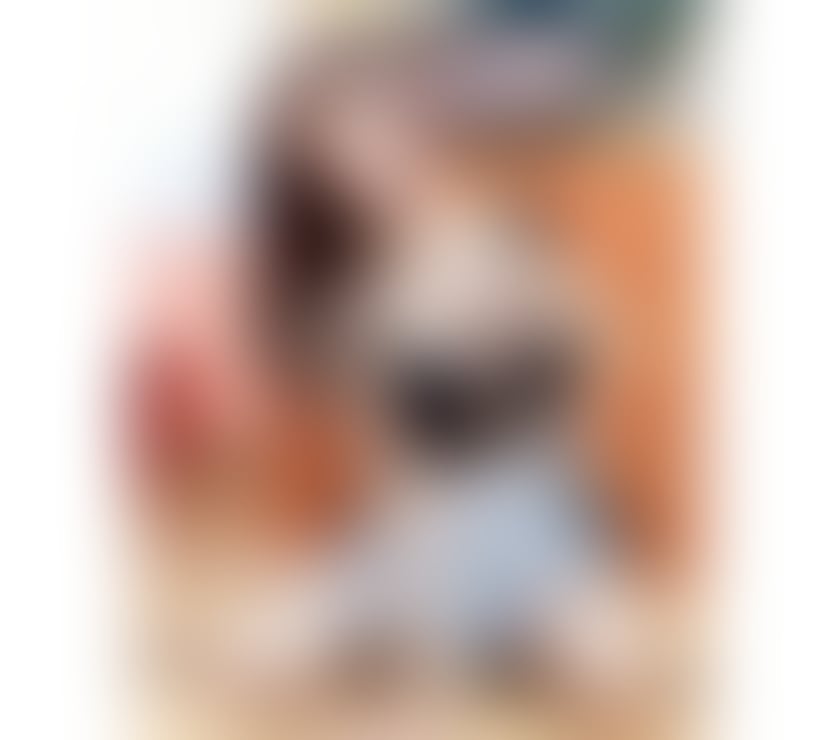 Escorts West London Paddington - West London - Photos for Thai Rita Beauty Sweet New No Rush real💯 🇹🇭 In W2
