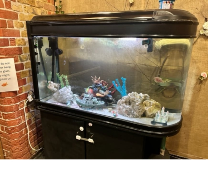 Other Services East London Canary Wharf - East London - Photos for Affordable Aquarium maintenance service Canary Wharf
