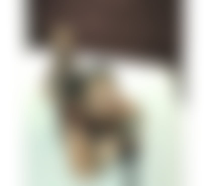 Escorts Greater Manchester Manchester - Photos for 🔞Layla – Domina | Fetish | |STR@P-ON| 🔞