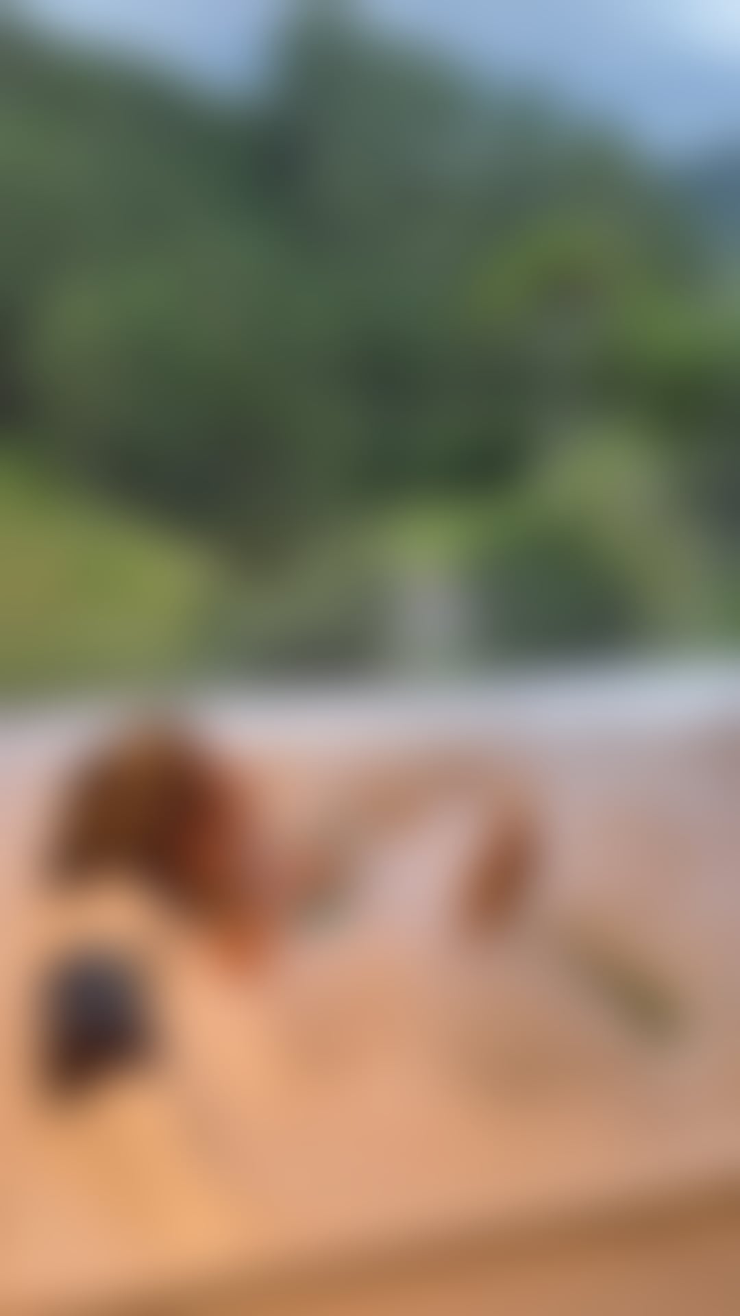 Escorts Dorset Bournemouth, Christchurch and Poole - 