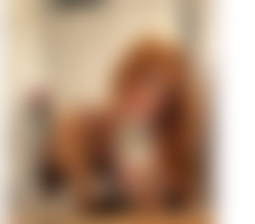 Trans Escorts Devon Plymouth - Photos for 🇧🇷 ISA BRAZILIAN ✨ VERY HOT 🫦🔥🎉🎉